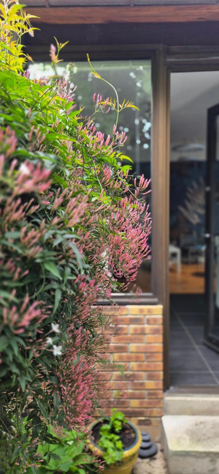 Appartamento House - Sunlit Haven With Outdoor Terrace, Garage And Metro 14, Rer B Gentilly Esterno foto