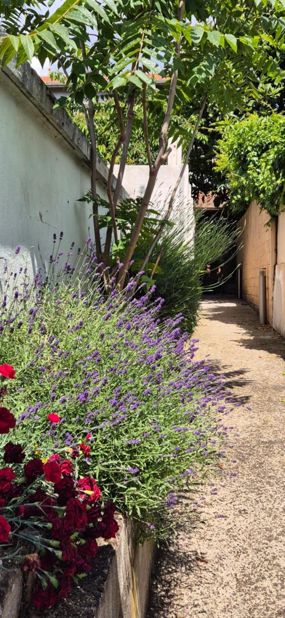 Appartamento House - Sunlit Haven With Outdoor Terrace, Garage And Metro 14, Rer B Gentilly Esterno foto